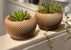 Macetero Decorativo 3D para Suculentas
