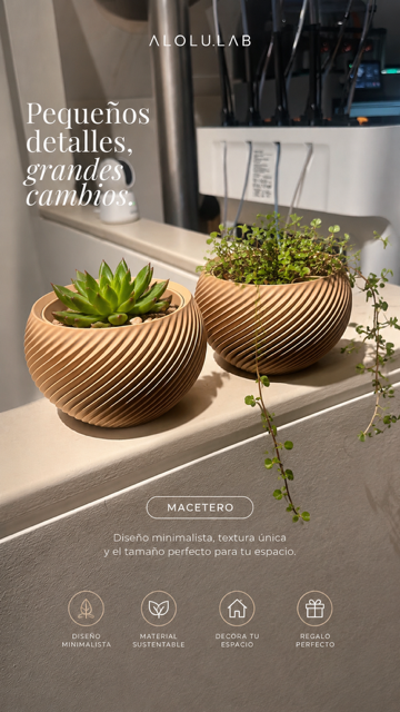 Macetero Decorativo 3D