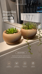 Macetero Decorativo 3D para Suculentas